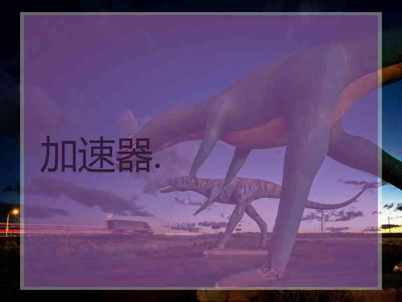加速器.