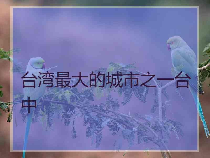 台湾最大的城市之一台中