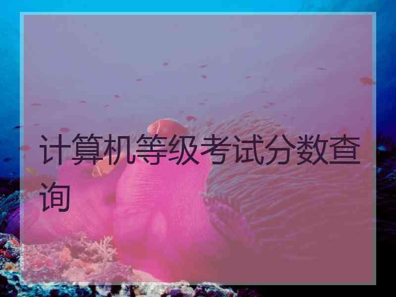 计算机等级考试分数查询