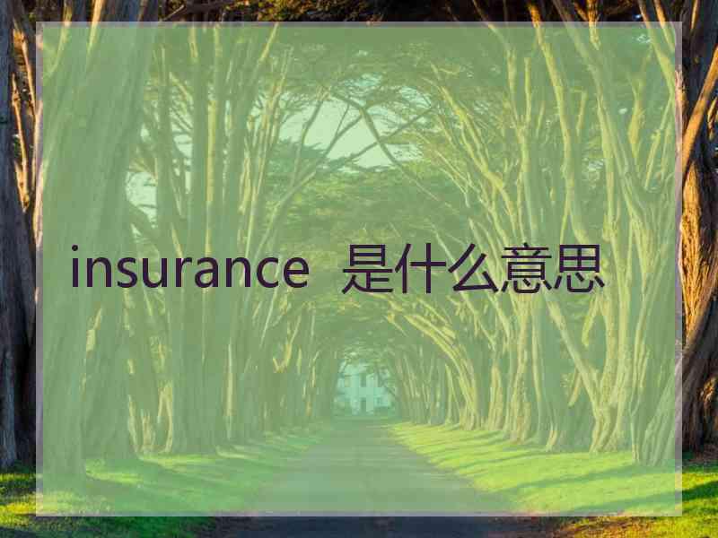 insurance  是什么意思