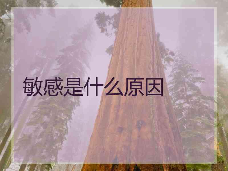 敏感是什么原因