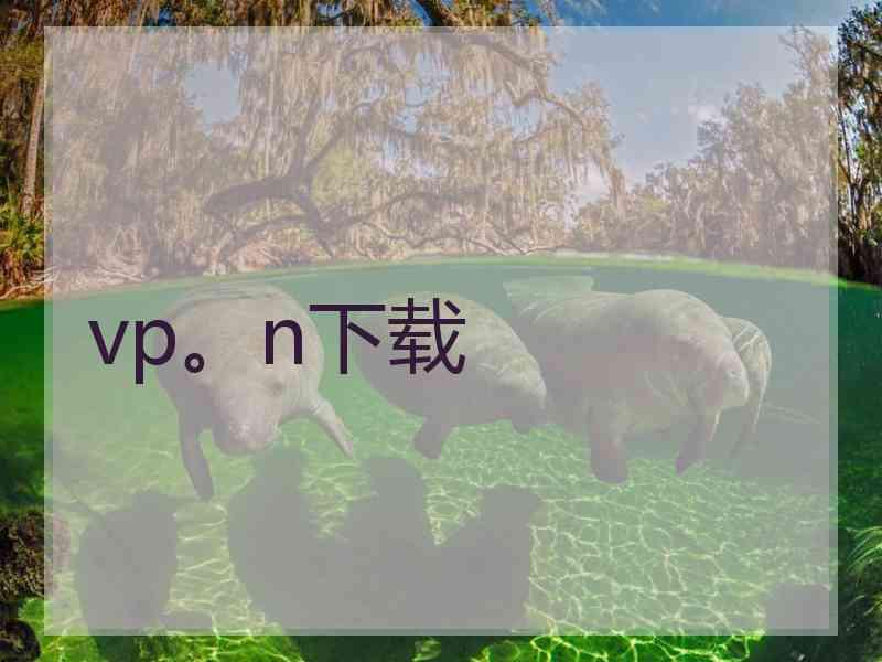 vp。n下载