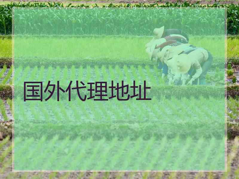 国外代理地址