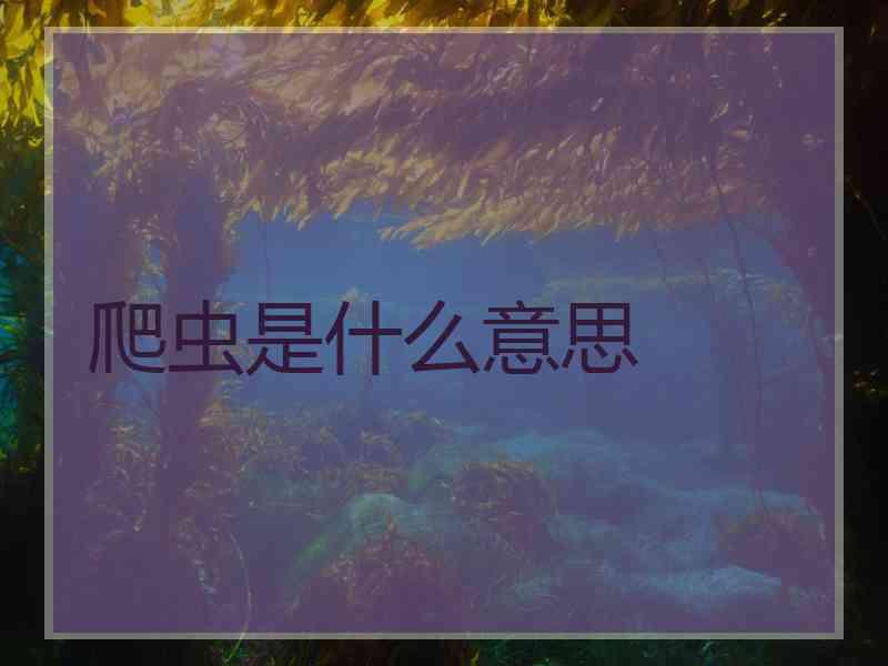 爬虫是什么意思