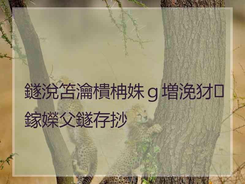 鐩涗笘瀹樻柟姝ｇ増浼犲鎵嬫父鐩存挱