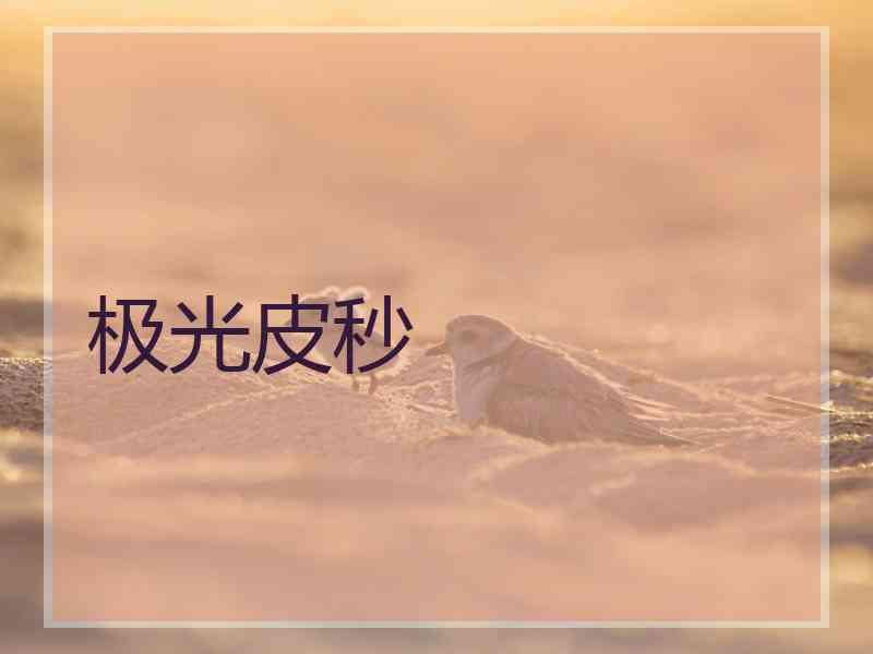 极光皮秒