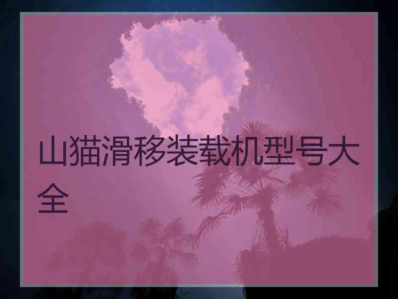 山猫滑移装载机型号大全