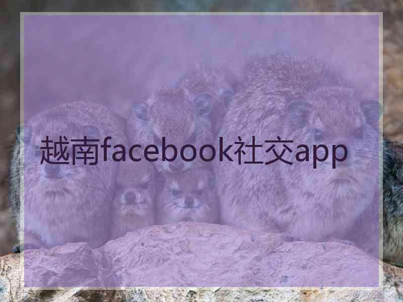 越南facebook社交app