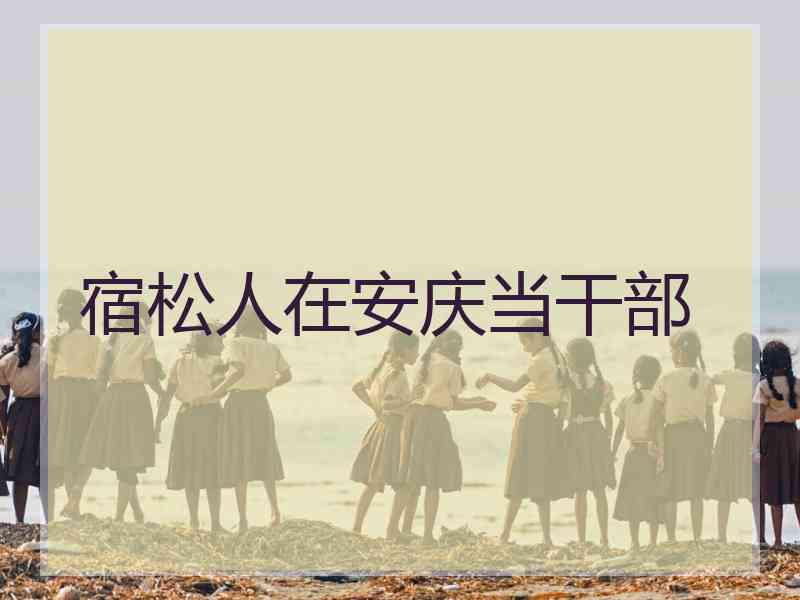 宿松人在安庆当干部