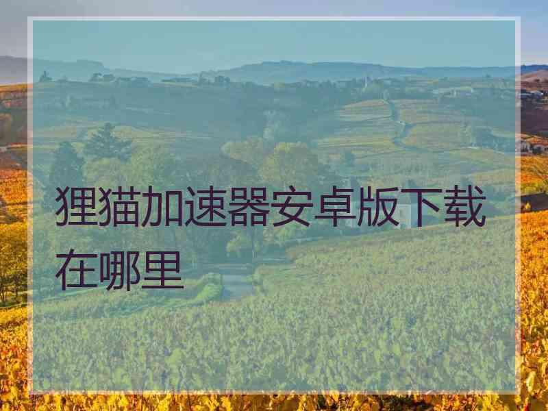 狸猫加速器安卓版下载在哪里
