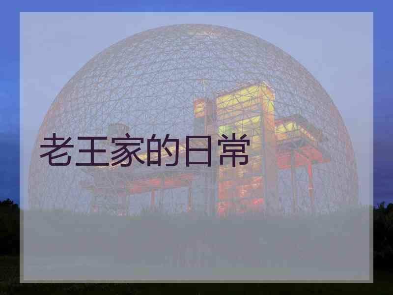 老王家的日常