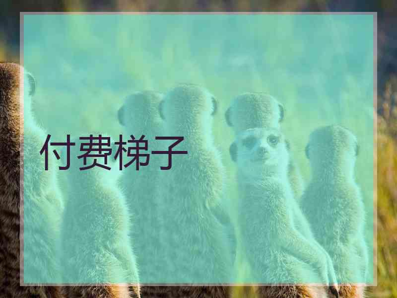 付费梯子