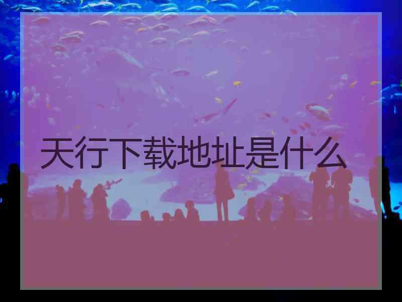 天行下载地址是什么