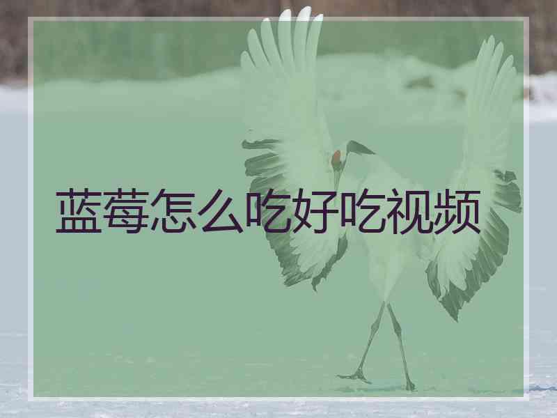 蓝莓怎么吃好吃视频
