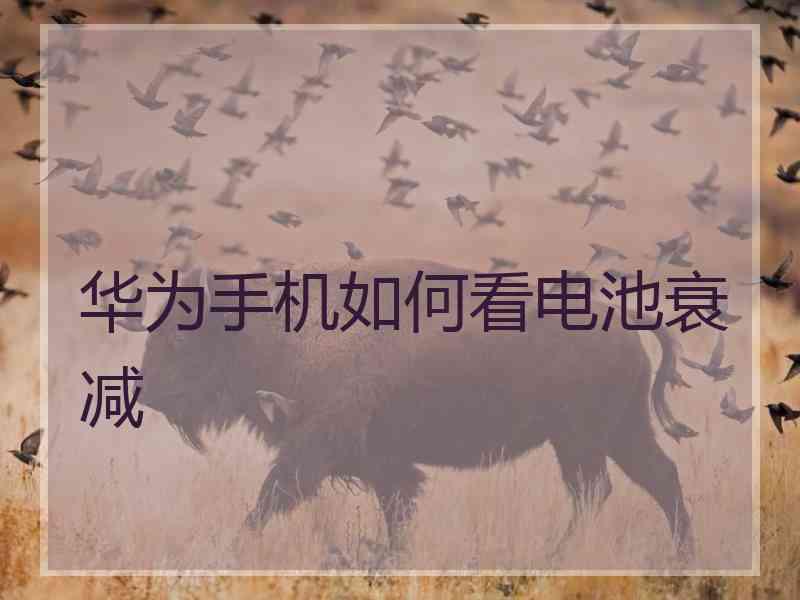 华为手机如何看电池衰减