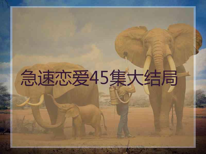 急速恋爱45集大结局