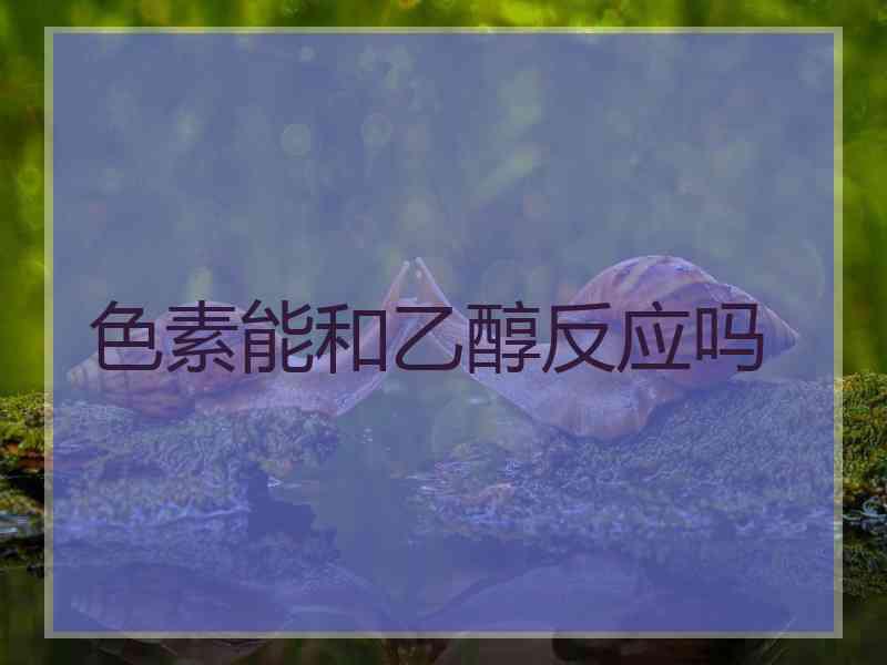 色素能和乙醇反应吗