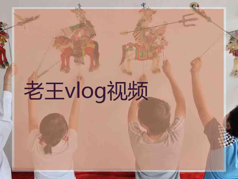老王vlog视频