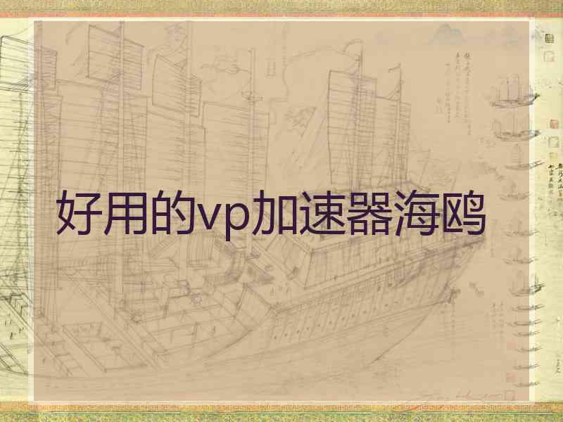 好用的vp加速器海鸥
