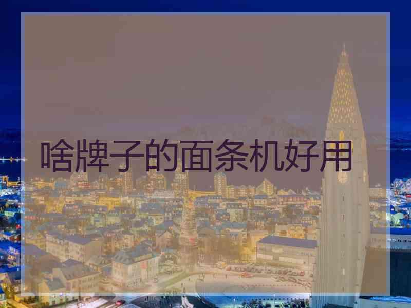 啥牌子的面条机好用