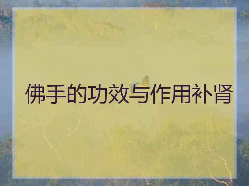 佛手的功效与作用补肾