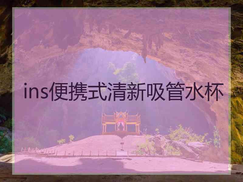 ins便携式清新吸管水杯