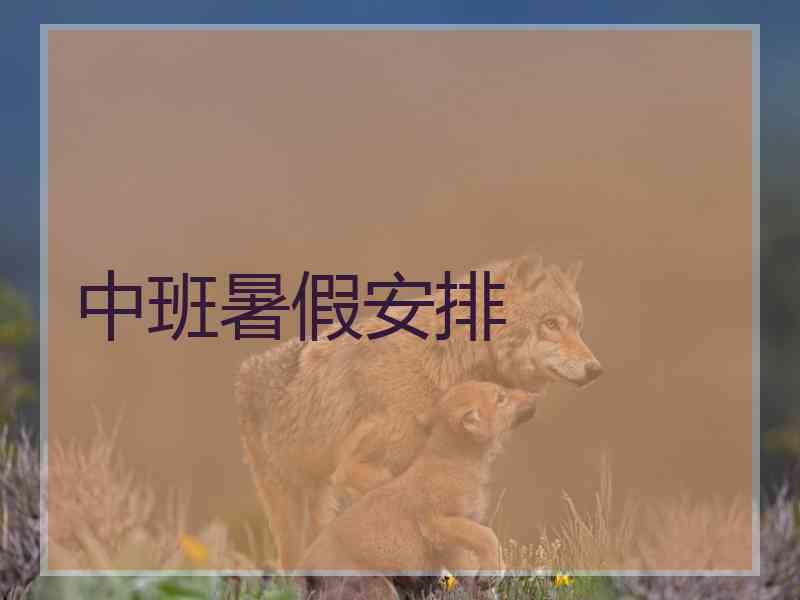 中班暑假安排