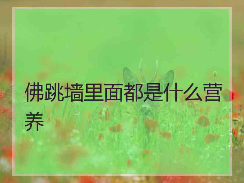 佛跳墙里面都是什么营养