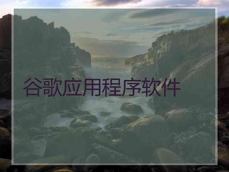 谷歌应用程序软件