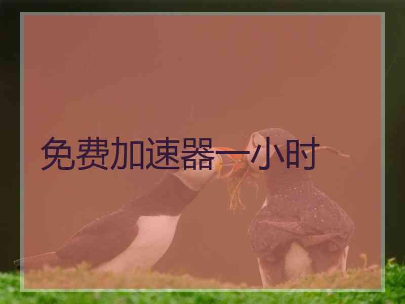 免费加速器一小时