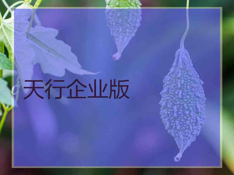 天行企业版