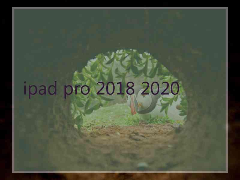 ipad pro 2018 2020