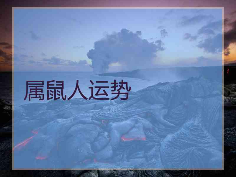 属鼠人运势