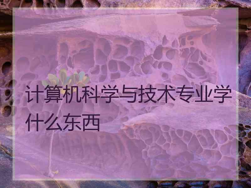 计算机科学与技术专业学什么东西