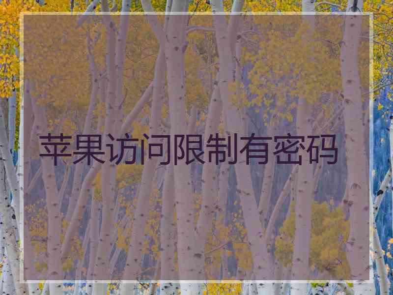 苹果访问限制有密码