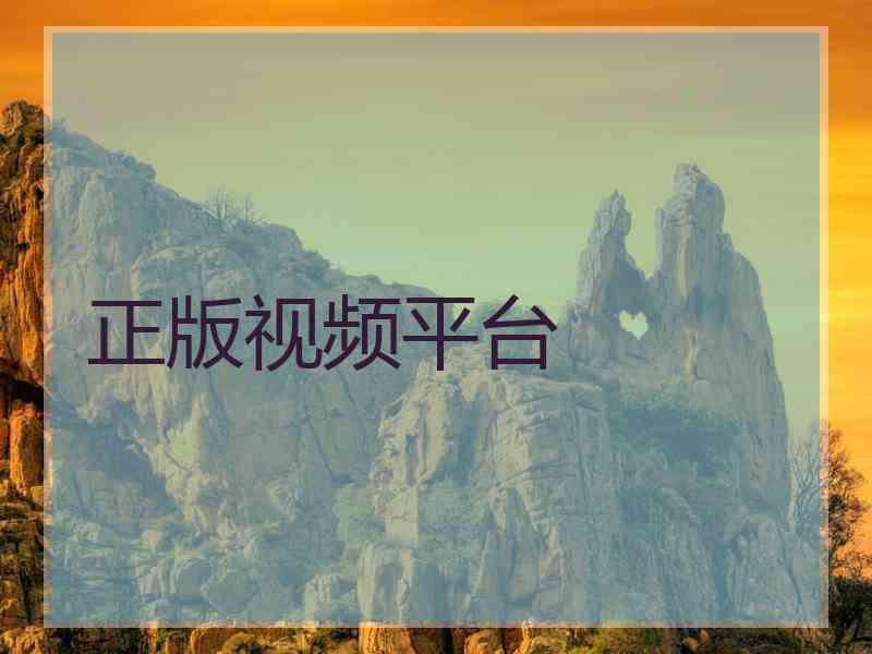 正版视频平台
