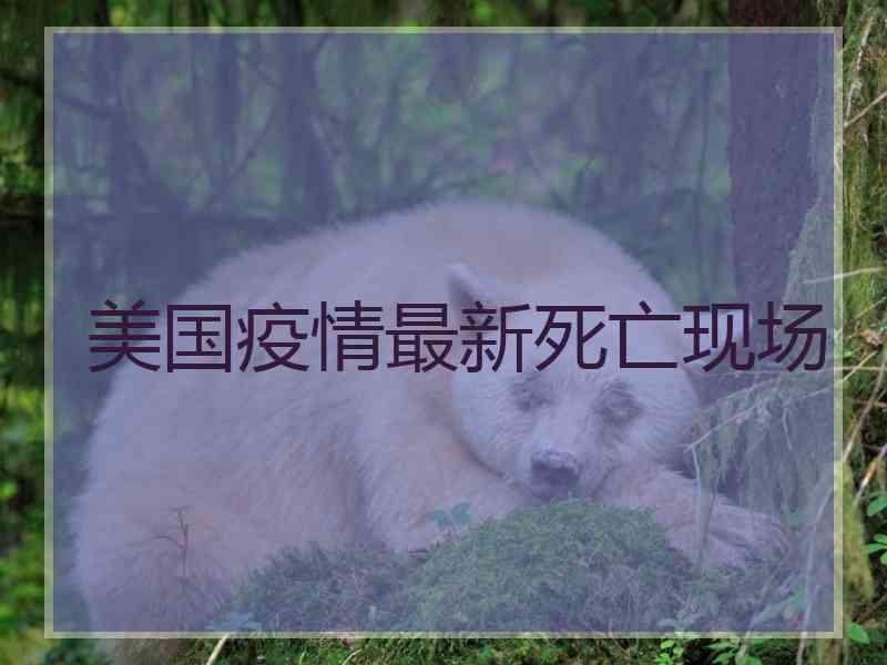 美国疫情最新死亡现场