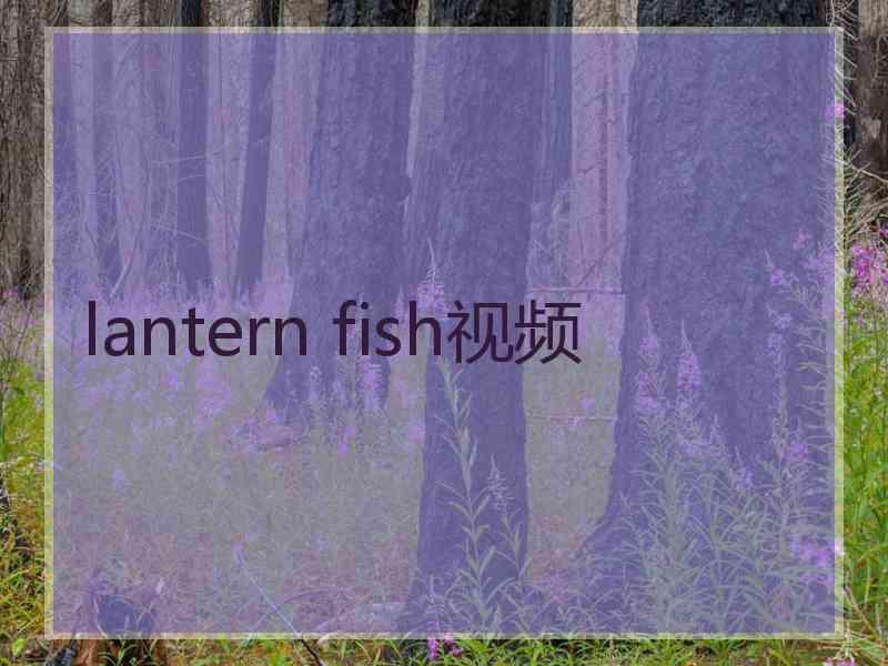 lantern fish视频