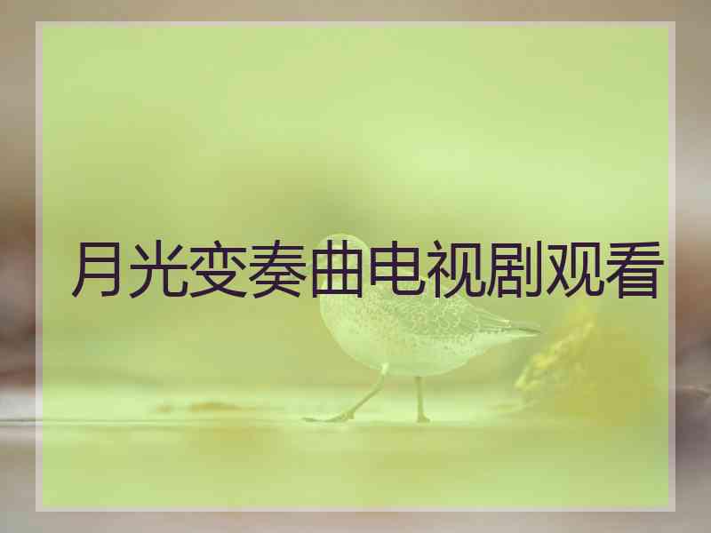 月光变奏曲电视剧观看