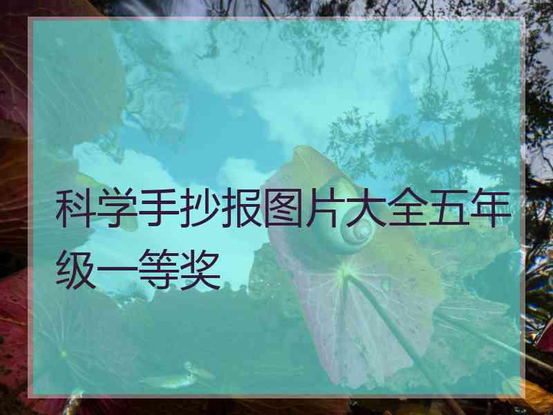 科学手抄报图片大全五年级一等奖
