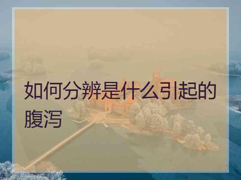 如何分辨是什么引起的腹泻