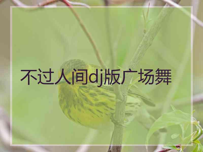不过人间dj版广场舞
