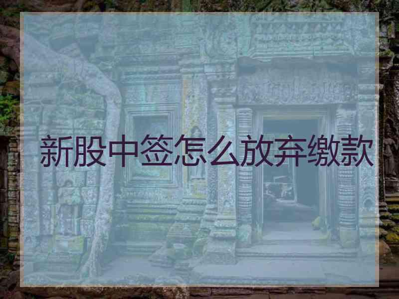 新股中签怎么放弃缴款