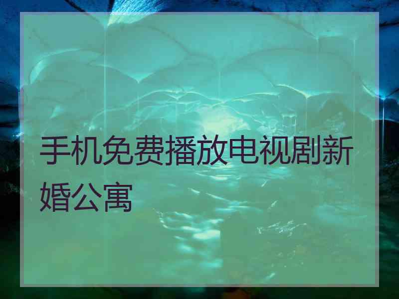 手机免费播放电视剧新婚公寓