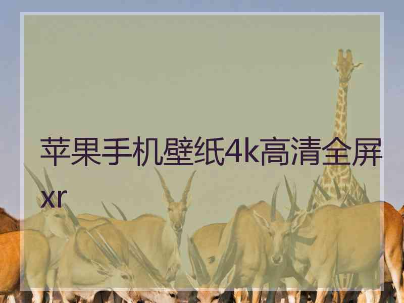 苹果手机壁纸4k高清全屏xr