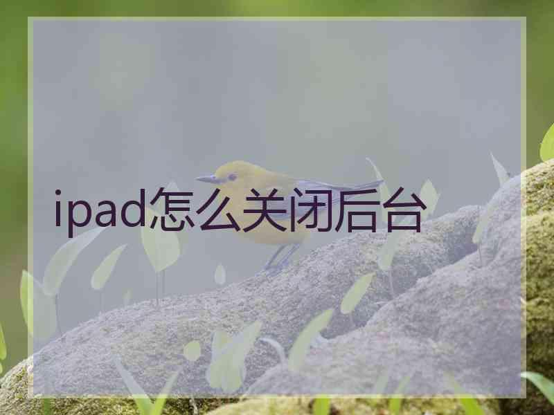 ipad怎么关闭后台