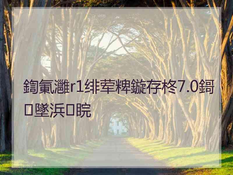 鍧氭灉r1绯荤粺鏇存柊7.0鎶墜浜睆