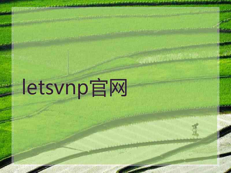 letsvnp官网