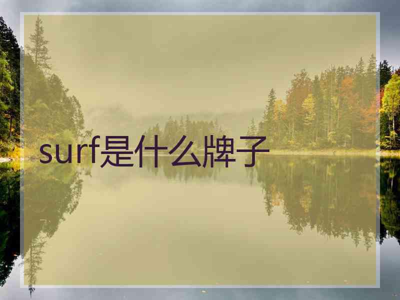 surf是什么牌子