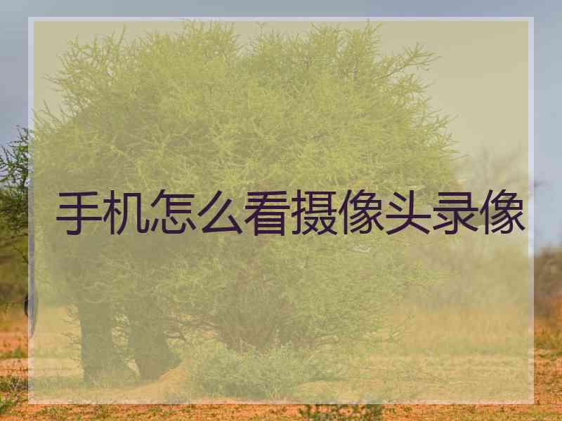手机怎么看摄像头录像